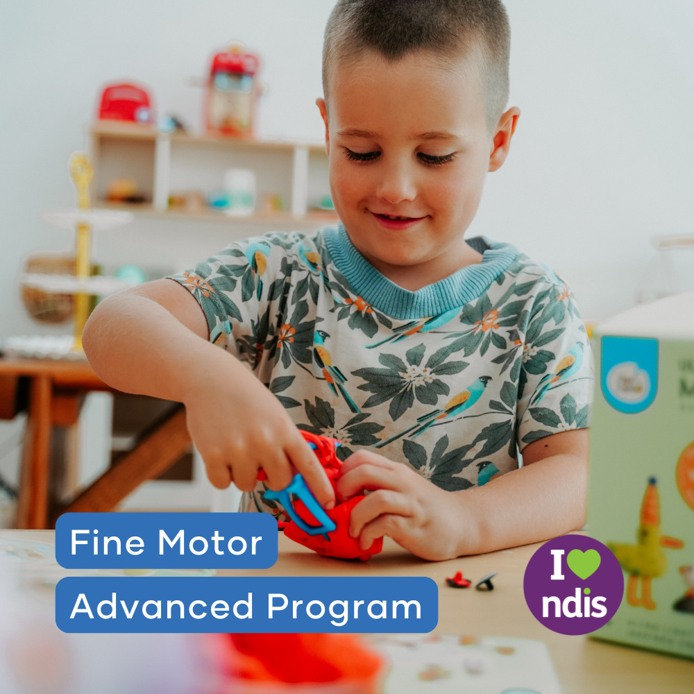 Fine Motor Advanced Program