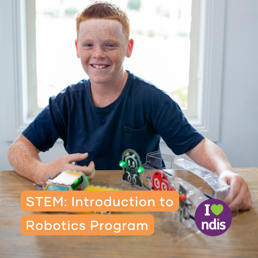 STEM: Introduction to Robotics Program